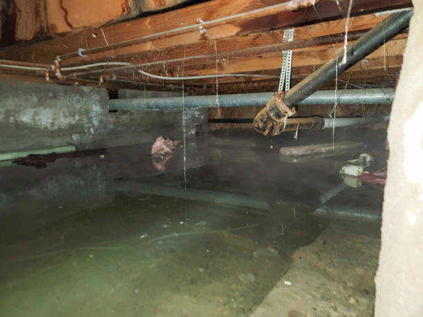 Best Water damage contractors near me  in Graham, TX