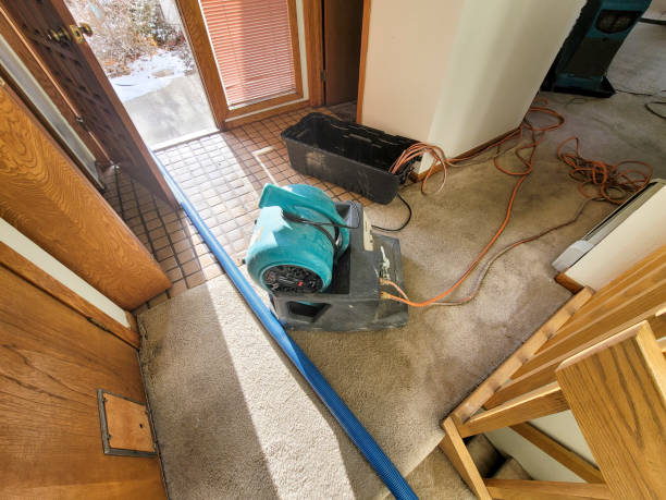 Best Professional water damage repair  in Graham, TX
